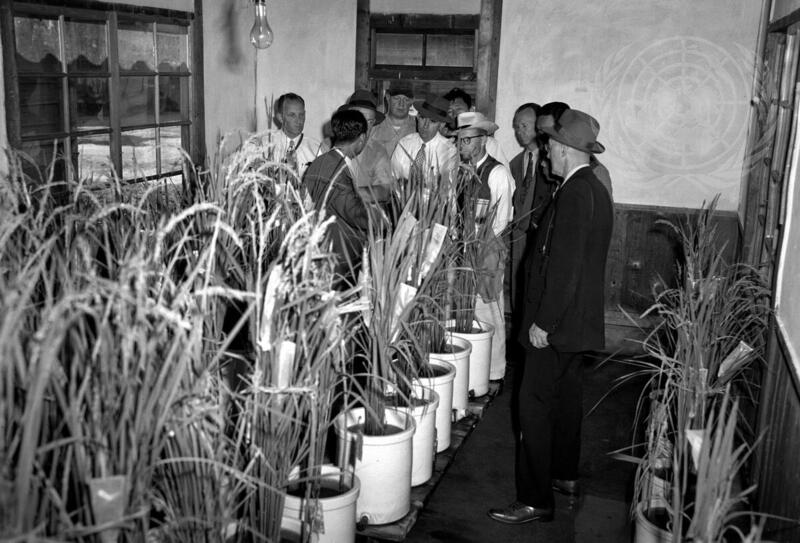 Joint UNKRA-FAO Agricultural Mission in Korea