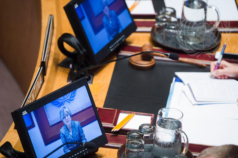 Security Council Meets on Middle East Situation