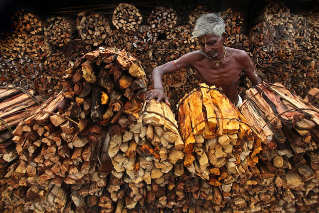UN Forum on Forests Photo Competition Honourable Mention: &quot;Wood Man&quot;