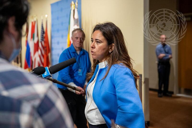 Permanent Representative of United Arab Emirates Briefs Press