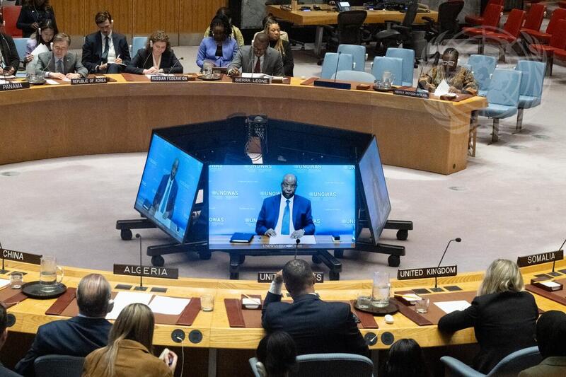 Security Council Meets on Peace Consolidation in West Africa | UN Photo