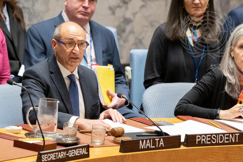 Security Council Meets on Preventing Conflict-Related Sexual Violence through Demilitarization and Gender-Responsive Arms Control