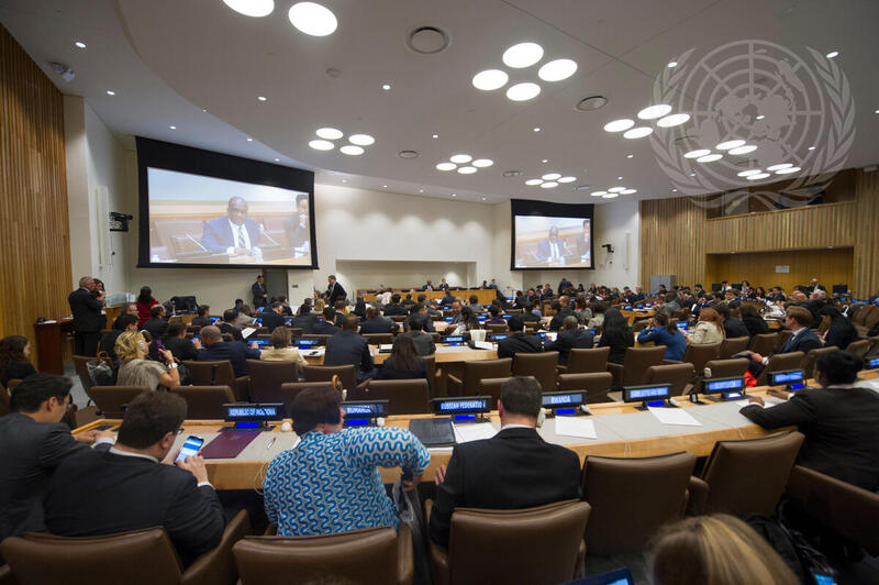 General Assembly Adopts Text Recognizing Right of Georgian Refugees
