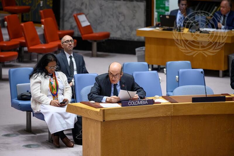 Security Council Meets on UN Verification Mission in Colombia