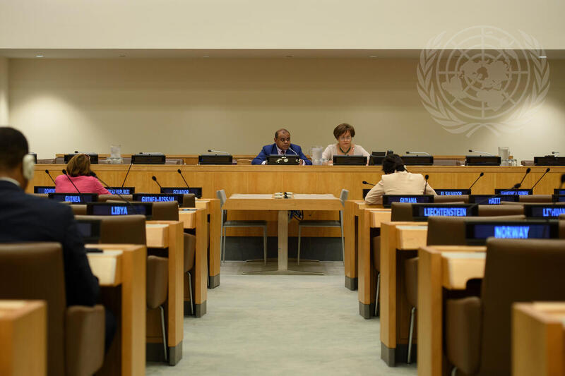 General Assembly Meets on Implementation of SIDS Accelerated Modalities of Action