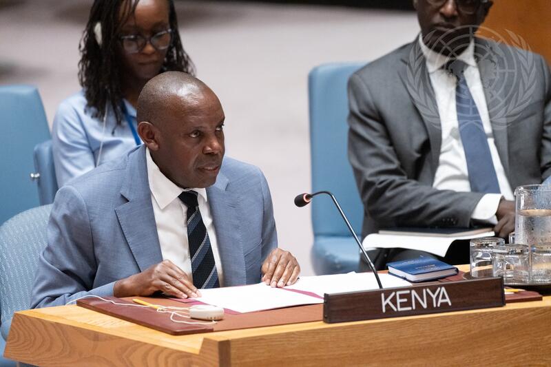 Security Council Meets on Question Concerning Haiti