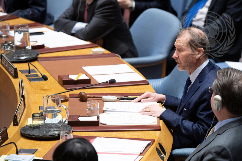 Security Council Considers Small Arms