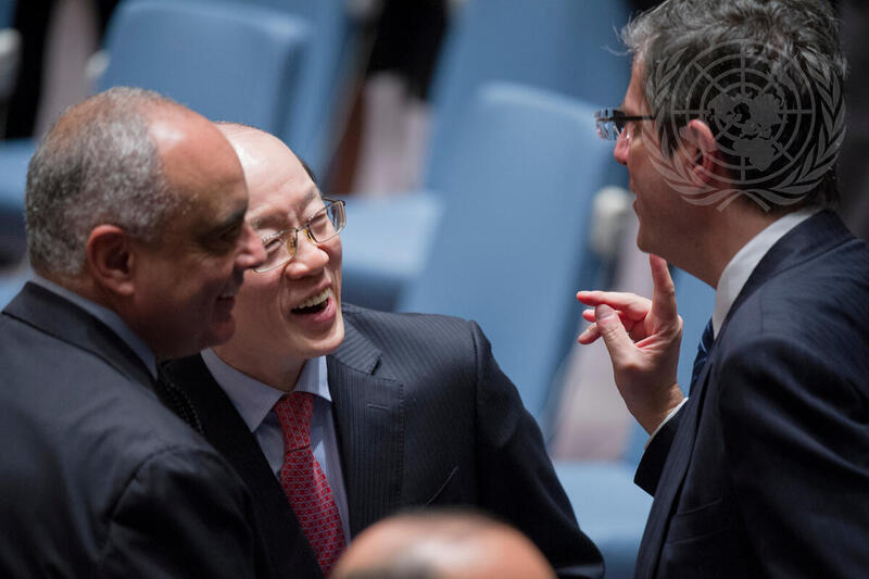 Security Council Extends Mission in Western Sahara