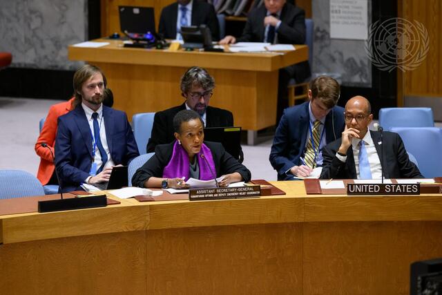 Security Council Meets on Situation in Great Lakes Region