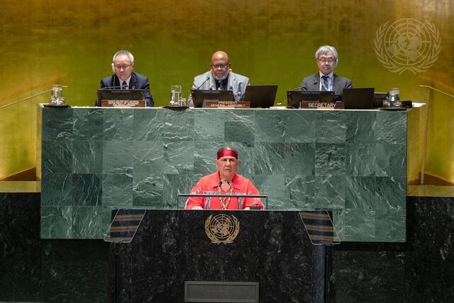 General Assembly Commemorates 10th Anniversary of World Conference on Indigenous Peoples