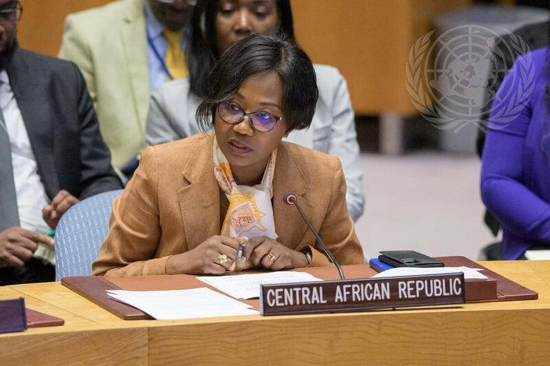 Security Council Meets on Situation in Central African Republic