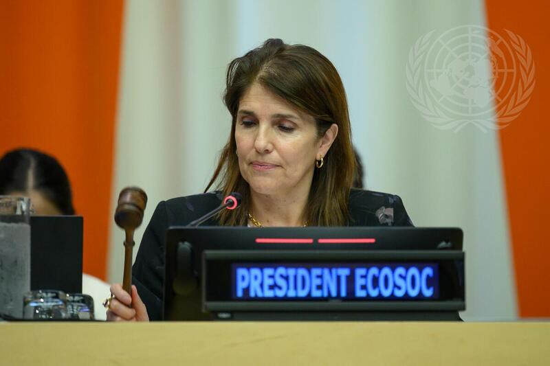 Joint Meeting of Economic and Social Council and Peacebuilding Commission