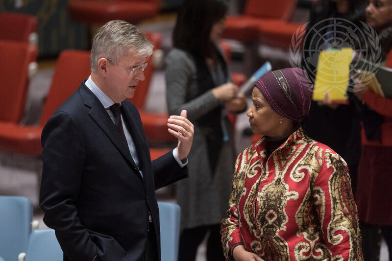 Security Council Considers Situation in Sudan and South Sudan