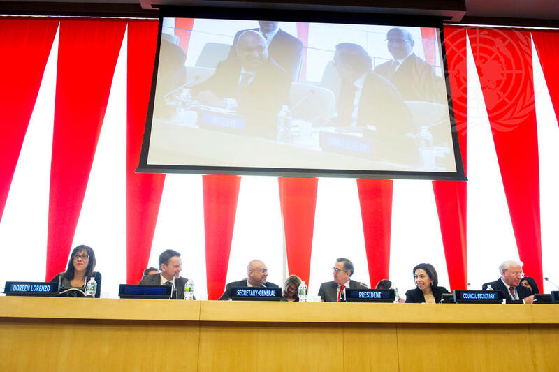ECOSOC Discusses Innovative Partnerships for Sustainable Development