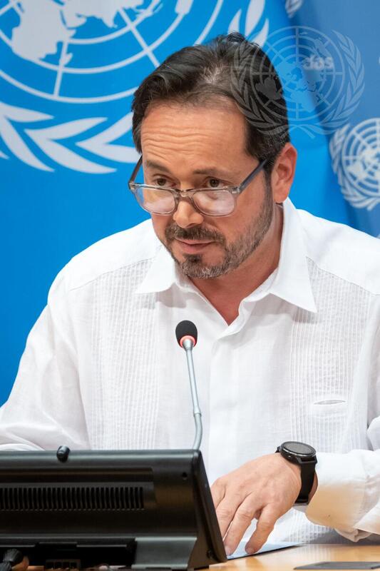 Head of UN Verification Mission in Colombia Briefs Press