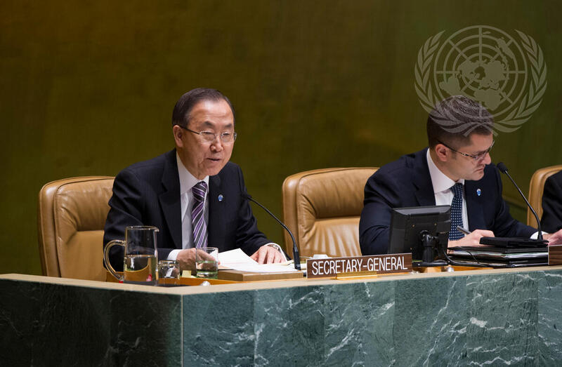 First Open Working Group on Sustainable Development Goals
