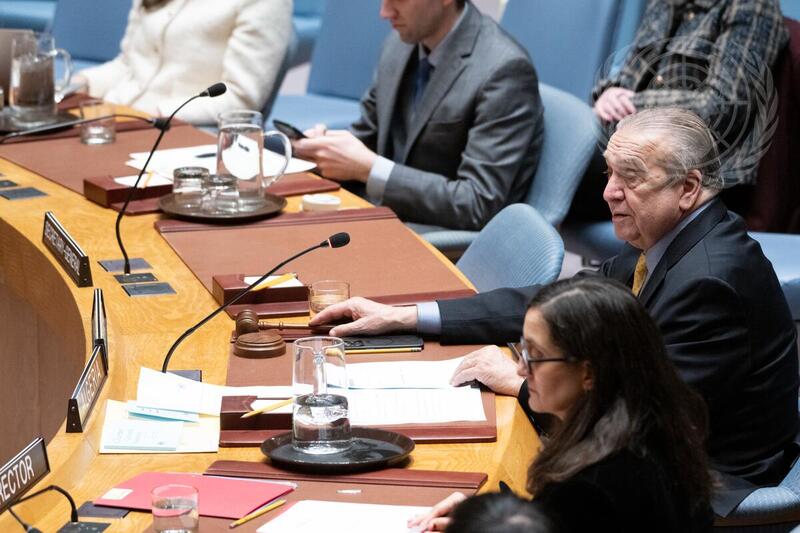 Security Council Meets on Maintenance of International Peace and Security