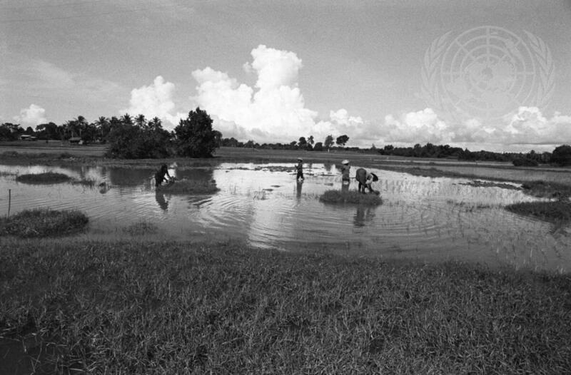 Farming for Development: Traditional Farming Techniques