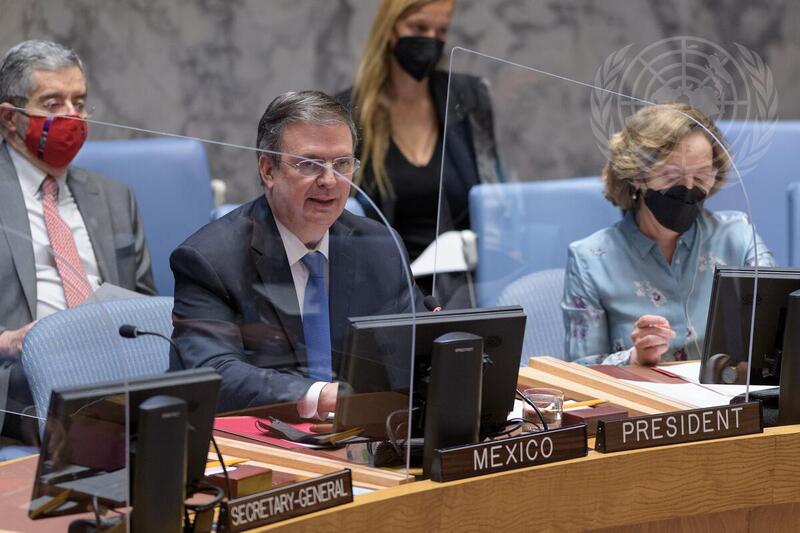 Security Council Meets on Small Arms
