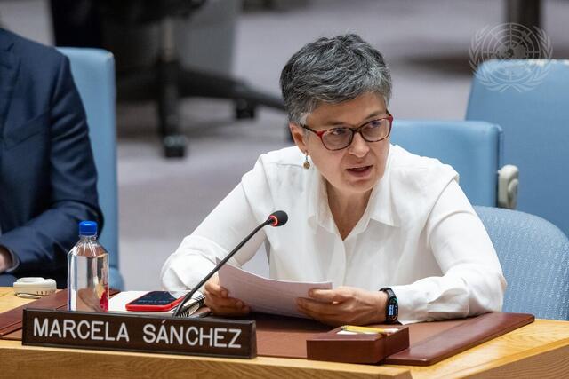Security Council Meets on UN Verification Mission in Colombia
