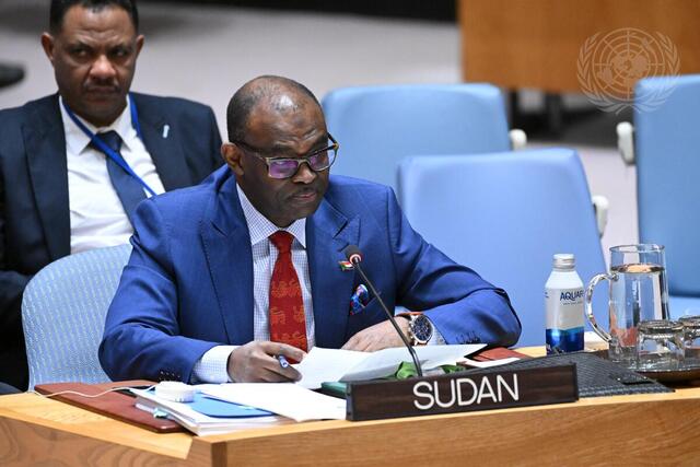 Security Council Meets on Situation in Sudan and South Sudan