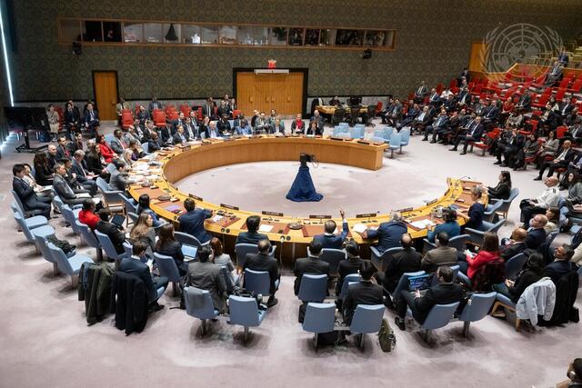 Security Council Fails to Adopt Resolution on Gaza