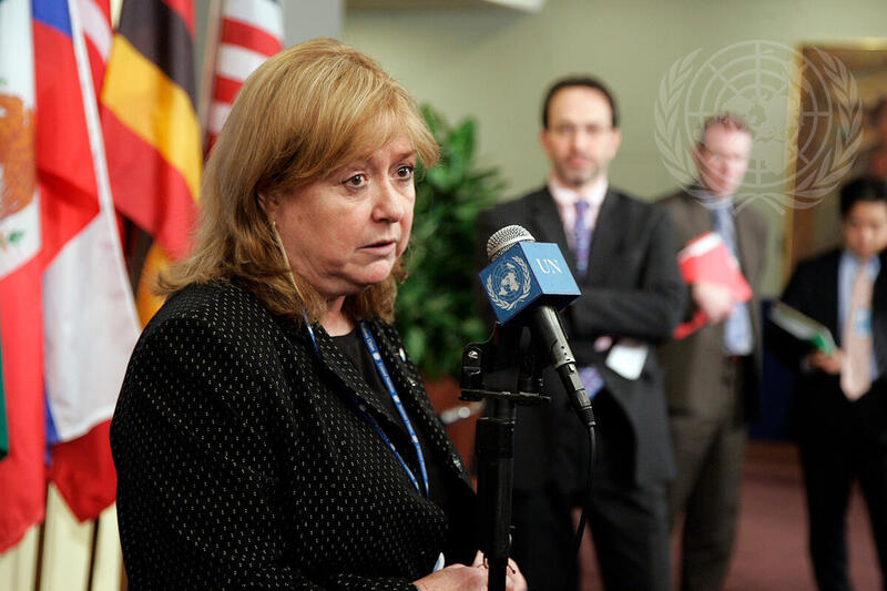 USG for Field Support Briefs Media