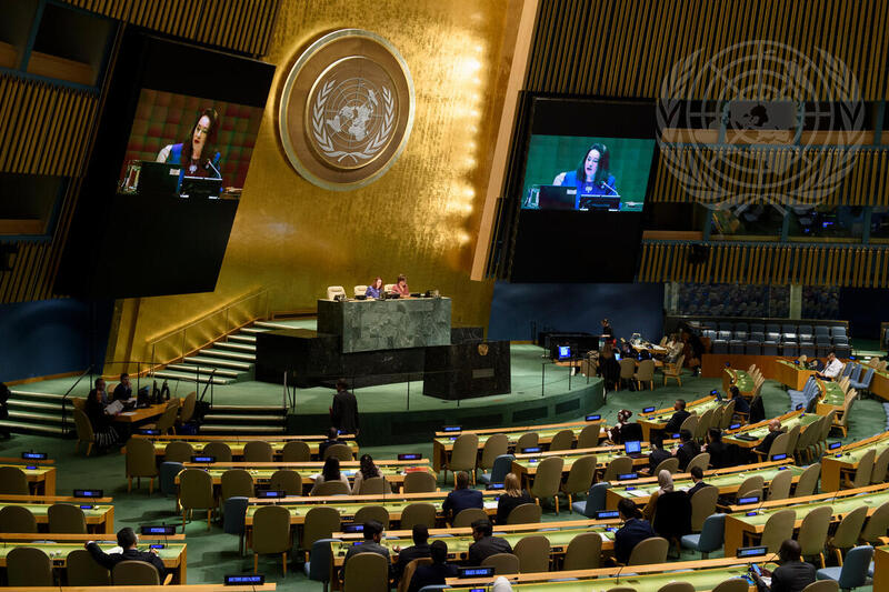 General Assembly Meets on New Partnership for Africa's Development