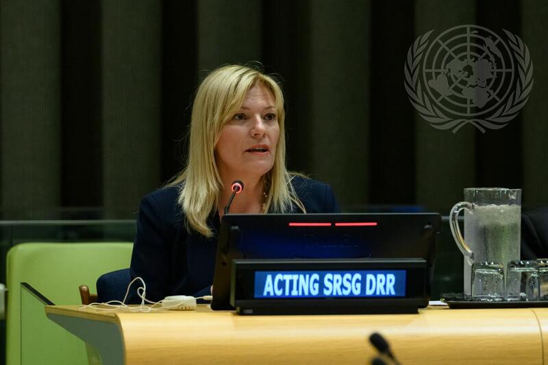Joint Event of General Assembly and ECOSOC "El Niño 2023-2024: Actions for Safety, Sustainability and Resilience of People and Planet"