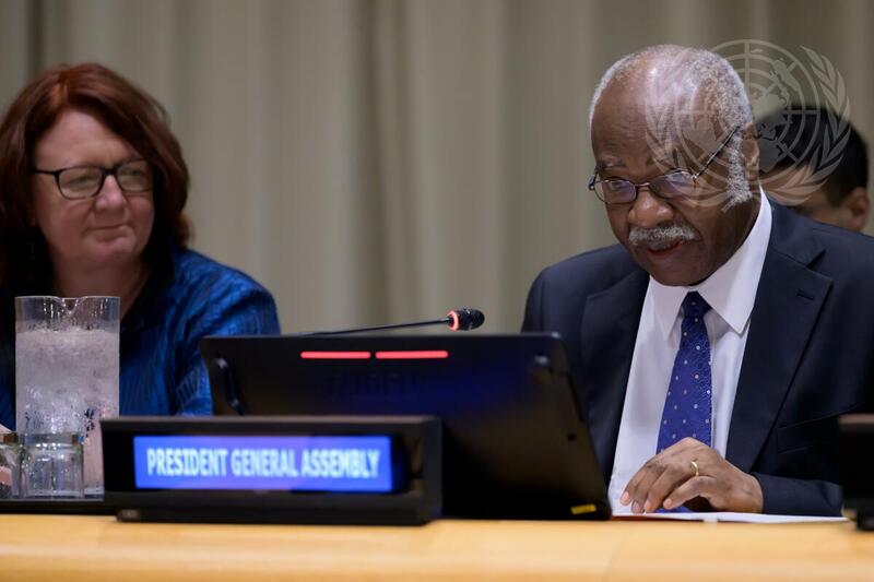 20th Session of United Nations Forum on Forests