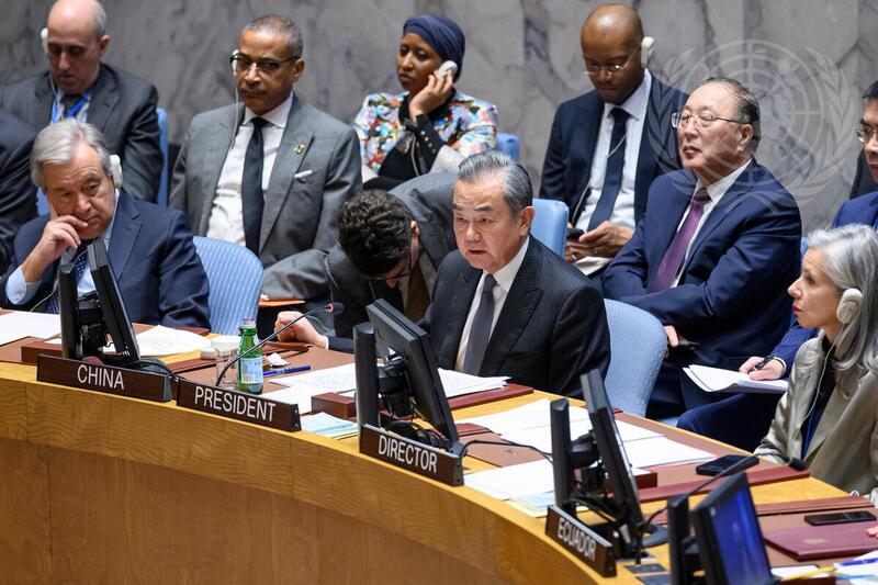 Security Council Meets on Situation in Middle East, Including Palestinian Question