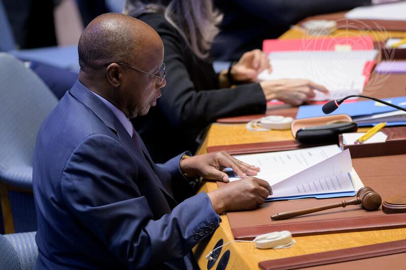 Security Council Meets on Situation in Libya