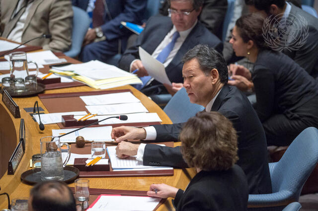 Security Council Meets on Peace consolidation in West Africa