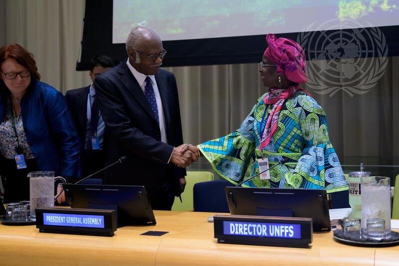 20th Session of United Nations Forum on Forests