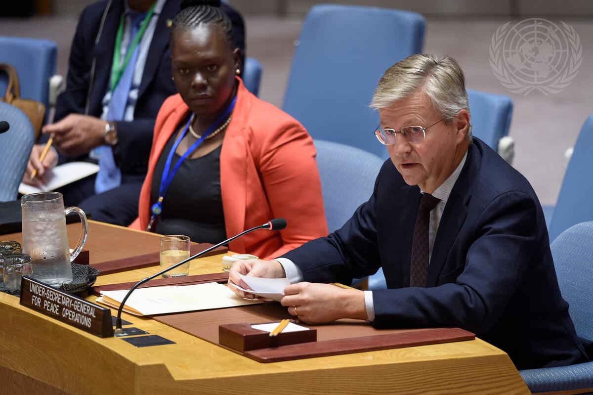 Security Council Considers Situation in Sudan and South Sudan | UN Photo