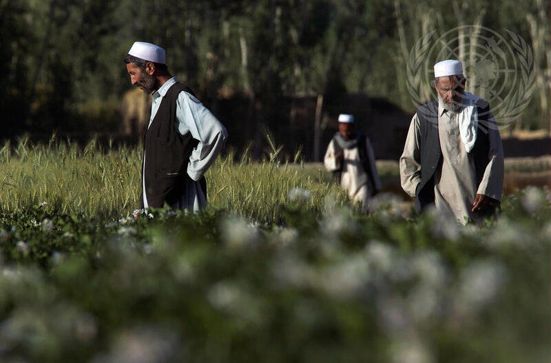 In Bamyan, Afghanistan, Men on Way to Mosque