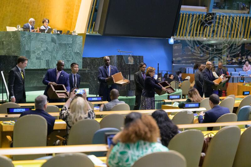 General Assembly Holds Election of Members of Economic and Social Council