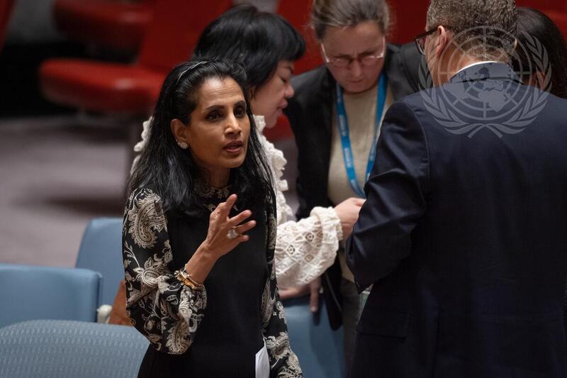 Security Council Meets on Maintenance of International Peace and Security