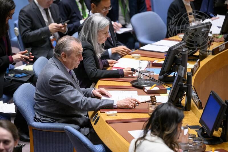Security Council Meets on Situation in Middle East
