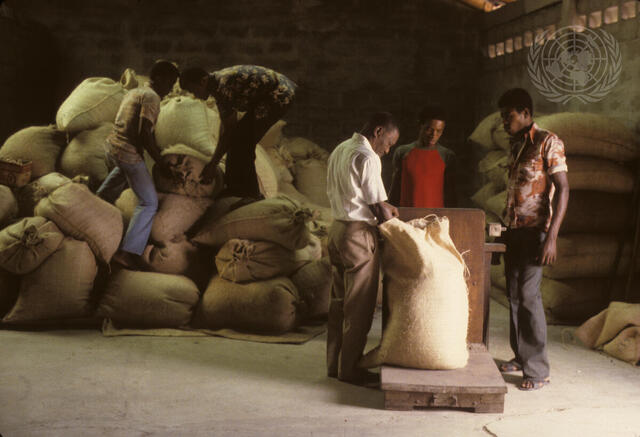 Farming for Development: Coffee Cultivation in Haiti