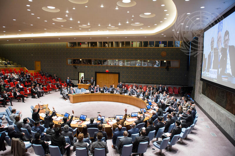 Security Council Endorses Cessation of Hostilities in Syria