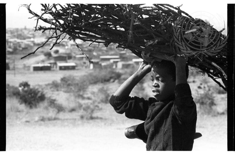 Apartheid: The Tyranny of Racism Made Law