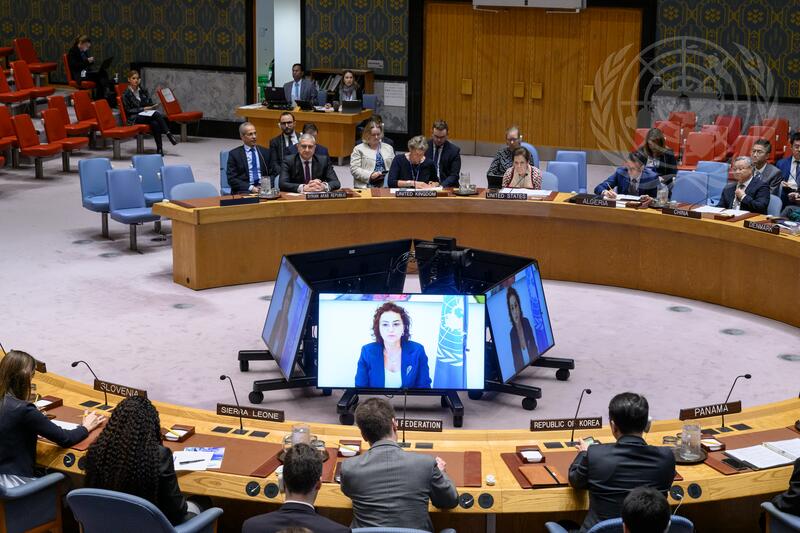 Security Council Meets on Situation in Syria