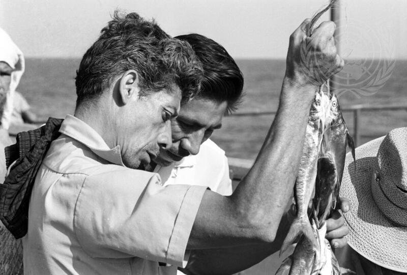 Regional Fishery Development in Central America
