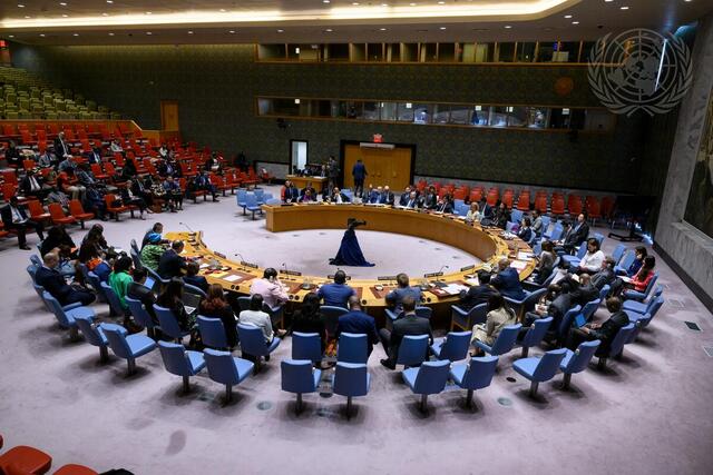 Security Council Meets on Situation in Great Lakes Region