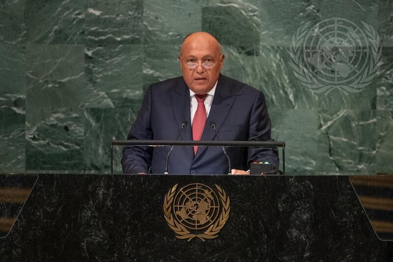 Foreign Minister of Egypt Addresses General Assembly Debate