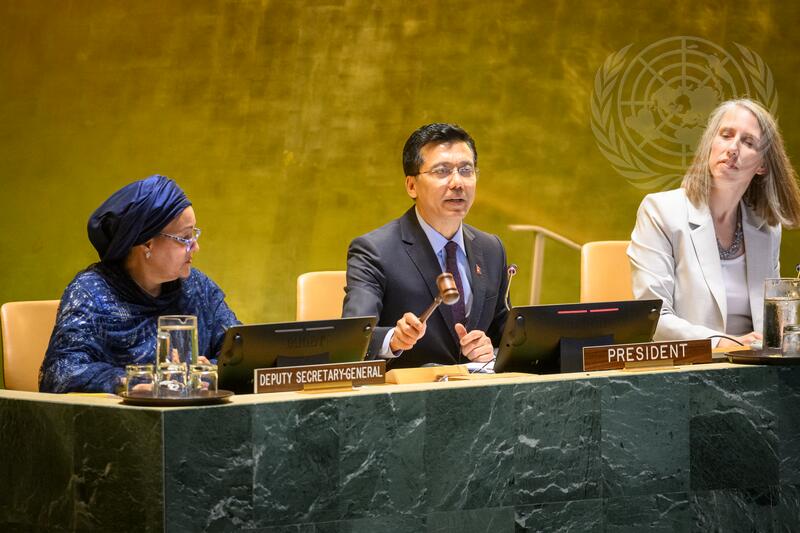Economic and Social Council Holds Political Forum on Sustainable Development