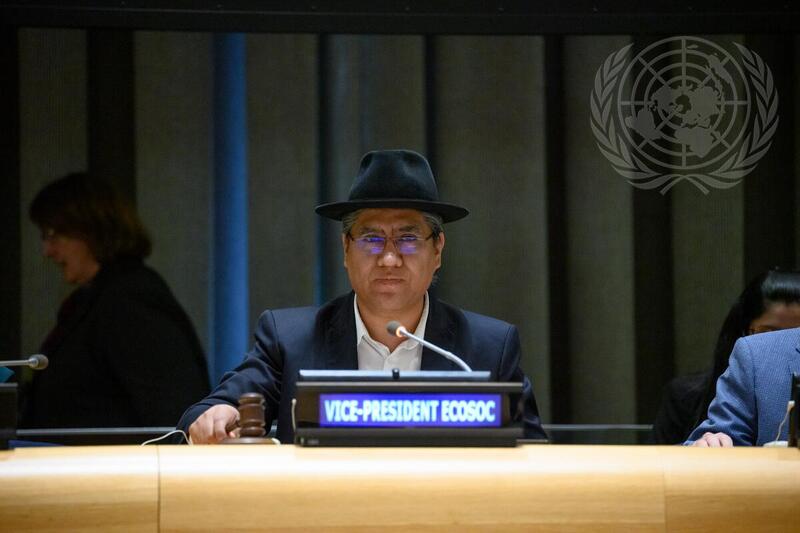 ECOSOC Holds Briefing on Preparations for 2022 Humanitarian Affairs Segment