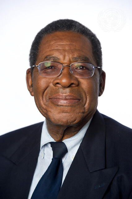 Portrait of New Permanent Representative of Bahamas