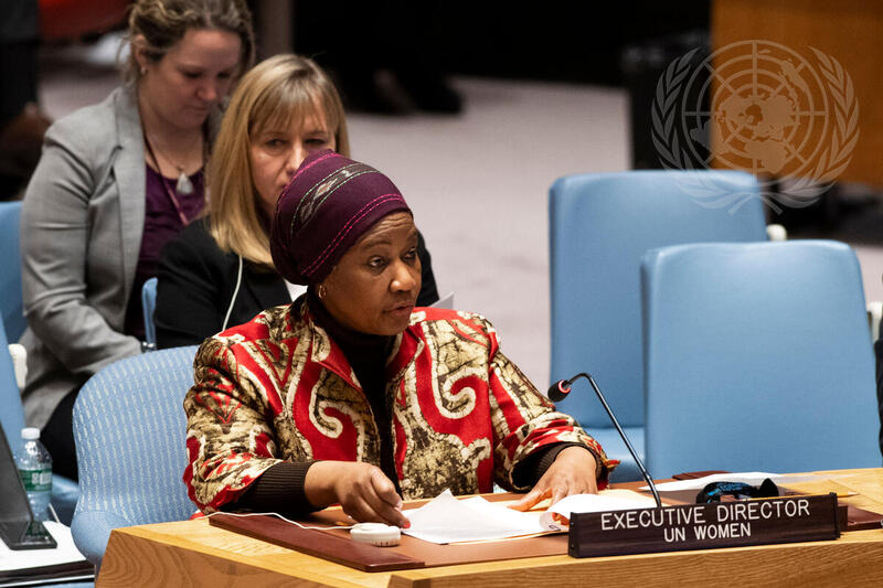 Security Council Considers Situation in Sudan and South Sudan
